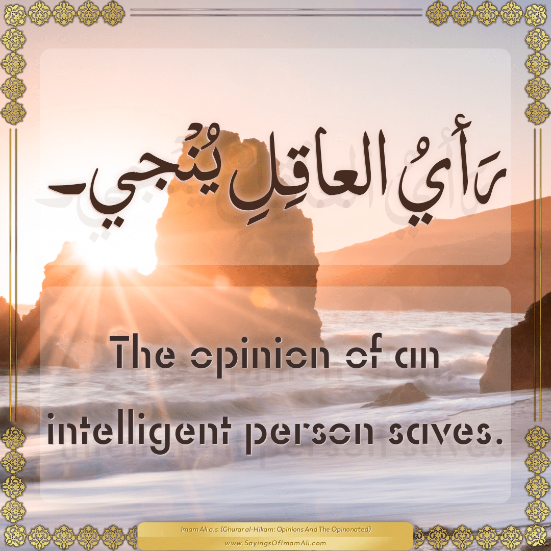 The opinion of an intelligent person saves.